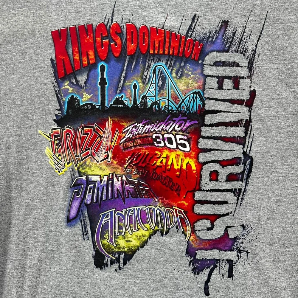 Kings Dominion I Survived Roller Coaster T-Shirt Gray Mens Large Cedar Fair Tee